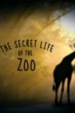 The Secret Life Of The Zoo: Season 3