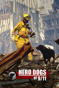 Hero Dogs Of 9/11 (documentary Special)