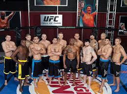 The Ultimate Fighter: Season 4