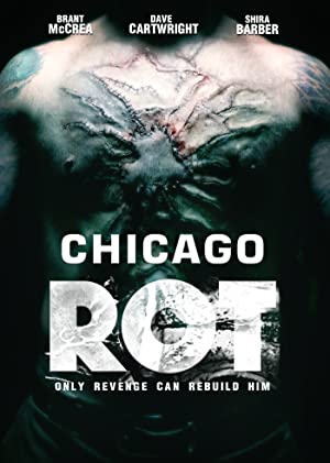 Chicago Rot 2017