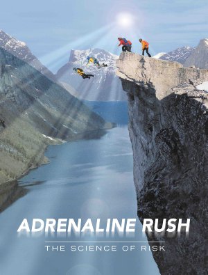 Adrenaline Rush: The Science Of Risk
