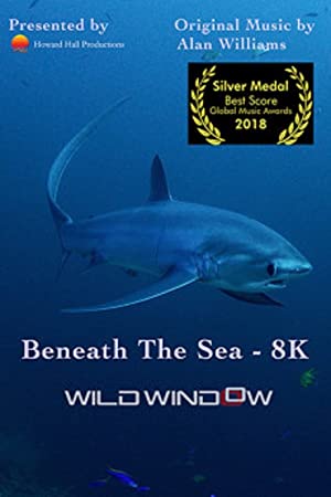 Wild Window: Beneath The Sea