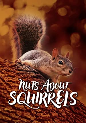 Nuts About Squirrels