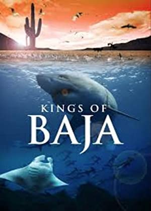 Kings Of Baja