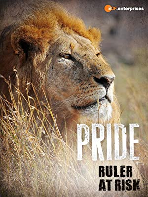 Pride - Ruler's At Risk