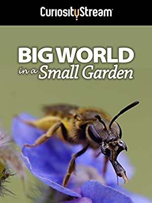Big World In A Small Garden