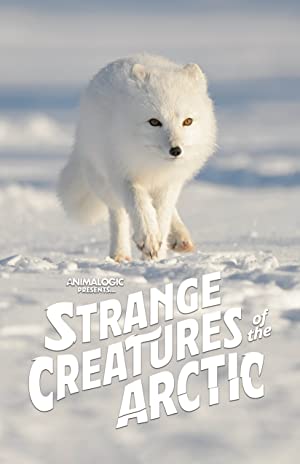 Strange Creatures Of The Arctic