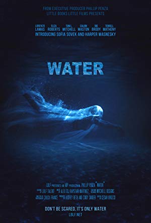 Water 2019