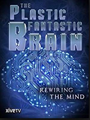 The Plastic Fantastic Brain
