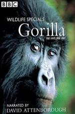 Gorilla Revisited With David Attenborough