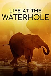 Life At The Waterhole: Season 1