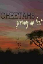 Cheetahs: Growing Up Fast