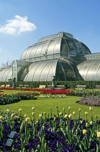 Cruickshank On Kew: The Garden That Changed The World