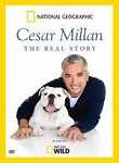 Cesar Millan: The Real Story
