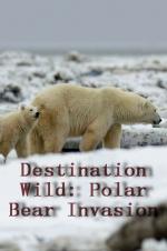 Destination Wild: Polar Bear Invasion
