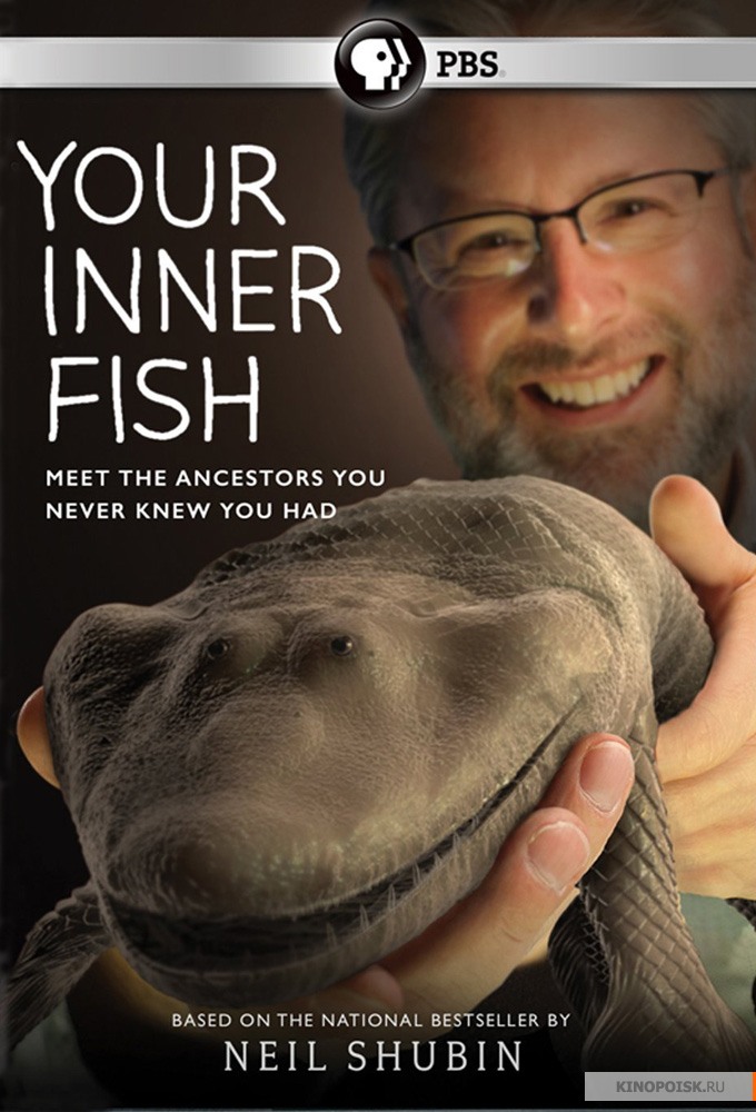 Your Inner Fish: Season 1