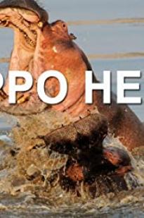 Hippo Hell