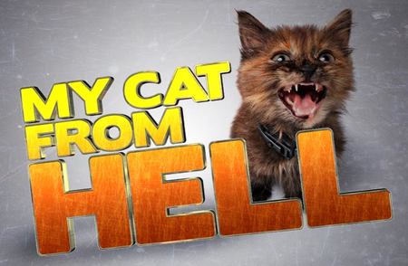 My Cat From Hell: Season 7