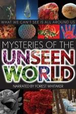 Mysteries Of The Unseen World