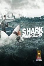 Shark Wranglers: Season 1