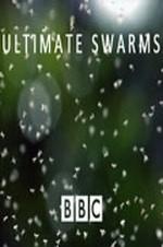 Ultimate Swarms